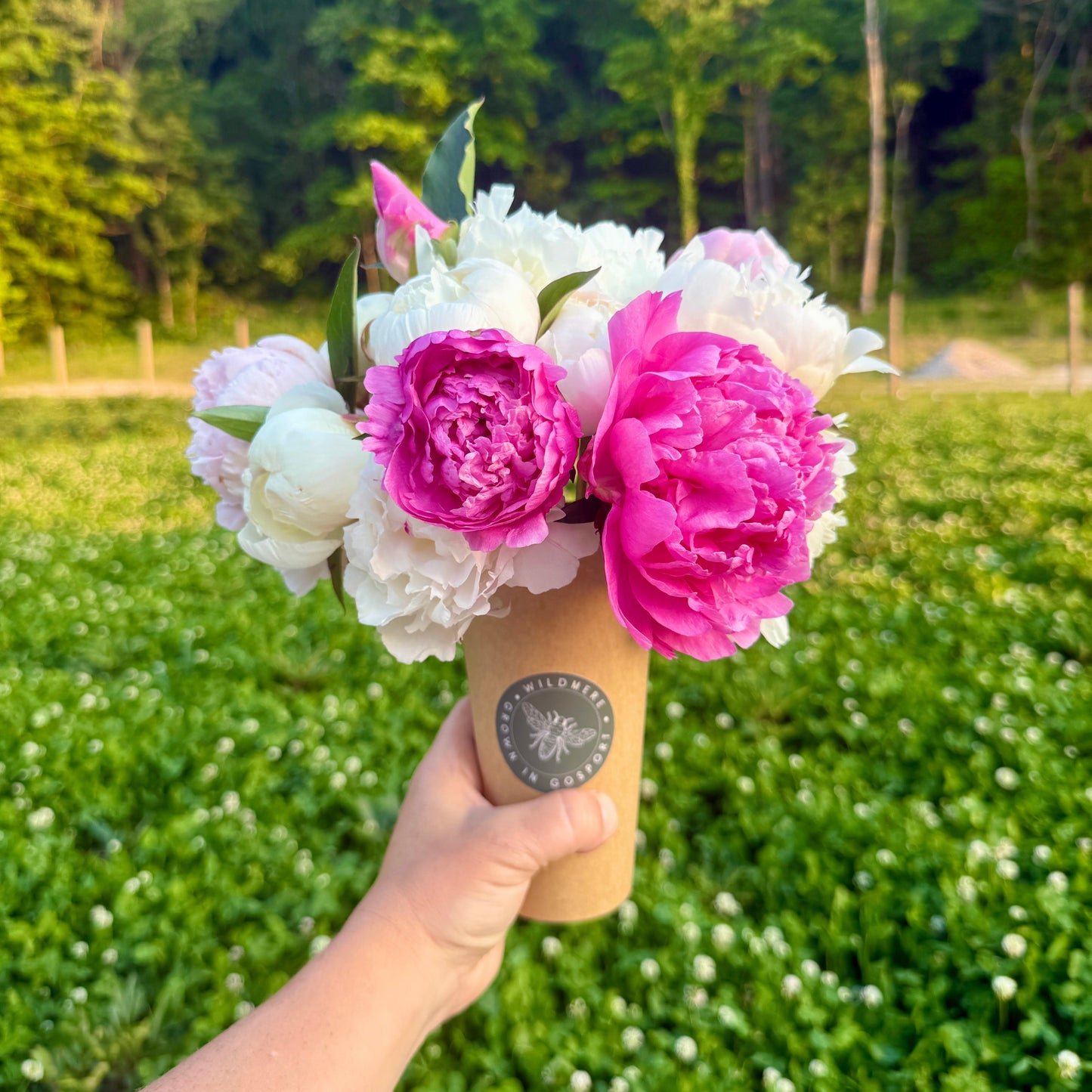 Peony 5-Stem Bunch