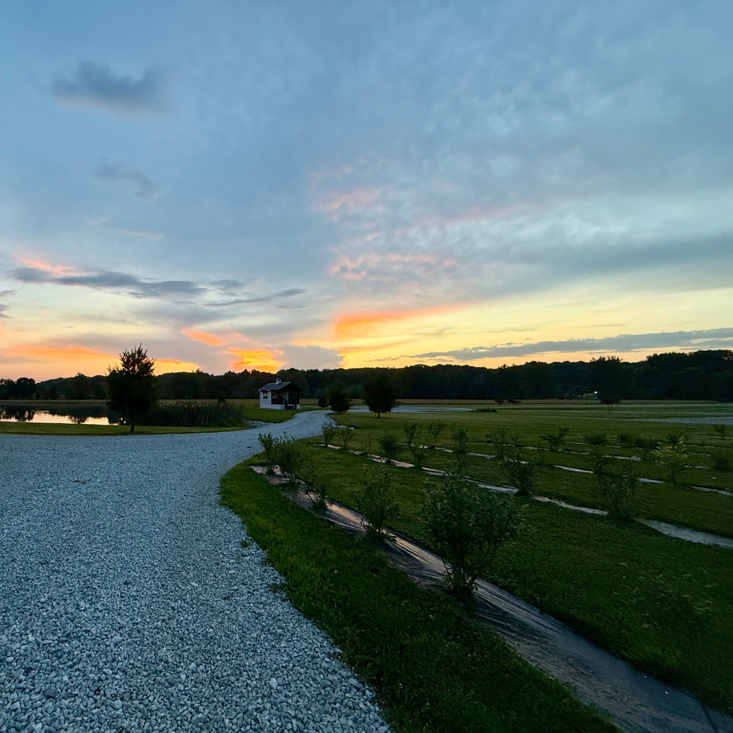 Private Farm Tour