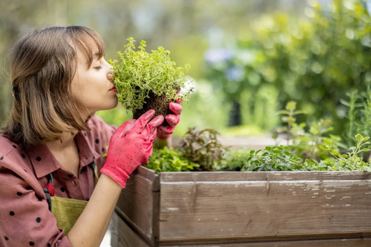 Organic Gardening at Home